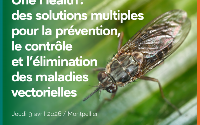 One Health conference in Montpellier highlights integrated approaches to vector-borne diseases